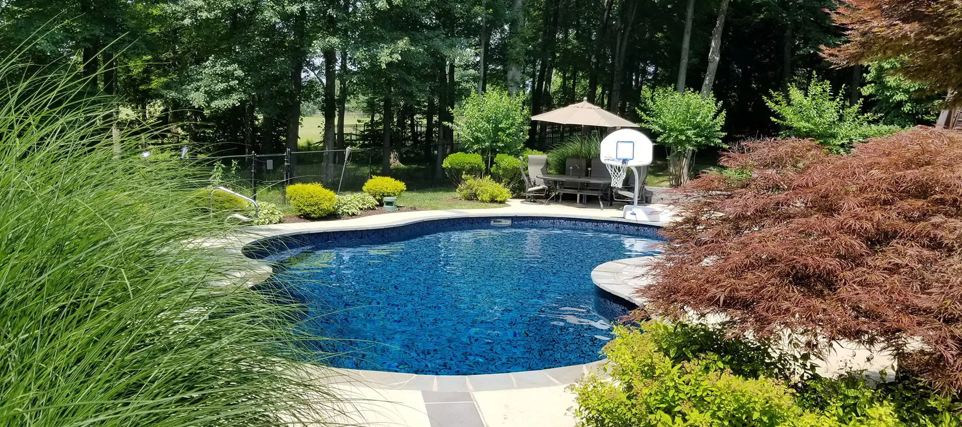 butterfly effect full view of pool water feature and basketball goal