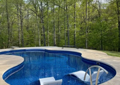 beautiful freeform inground pool with a wooded backdrop